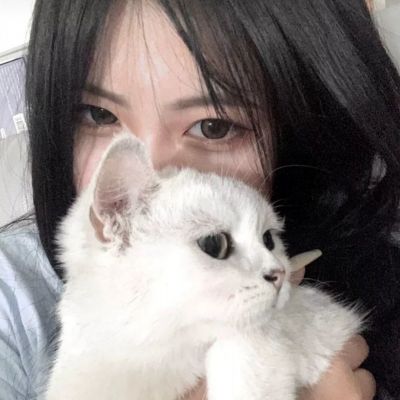 醉游三国在线玩下载