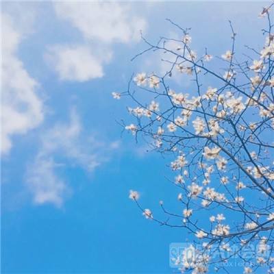 逸仙传说游戏下载