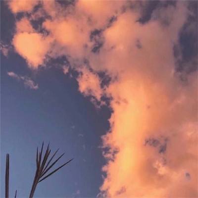 腾讯游戏天天连萌下载